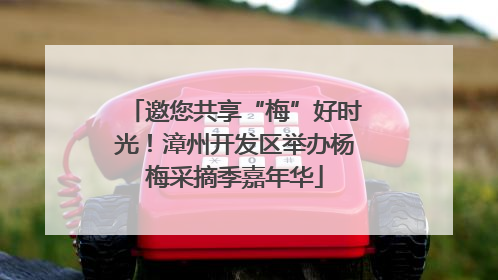 邀您共享“梅”好时光！漳州开发区举办杨梅采摘季嘉年华